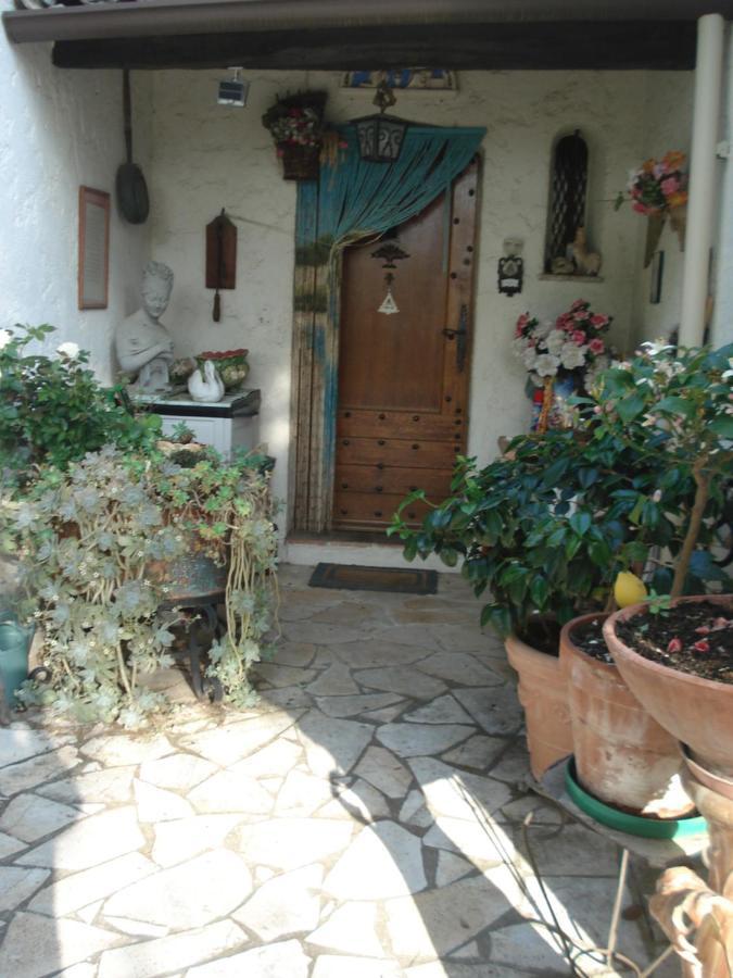Laserregnol Saint-Cézaire-sur-Siagne Εξωτερικό φωτογραφία